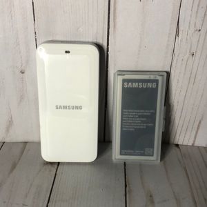 Samsung Battery and Charger Set